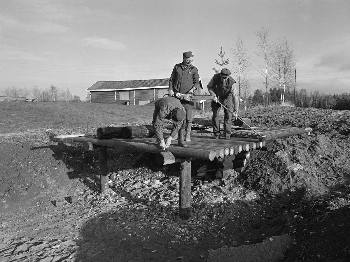 Fra bygginga av blesterovn på Norsk Skogbruksmuseum høsten 1984.  Ovnen ble bygd etter den beskrivelsen som finnes i Ole Evenstads «Afhandling om Jern-Malm, som findes i Myrer og Moradser i Norge, og Omgangsmaaden med at forvandle den til Jern og Staal», utgitt i 1782. Målet var å lage et anlegg der man kunne vise publikum hvordan myrmalm ble til jern. Arbeidet ble utført med bistand fra læreren Bjarne Berre fra Skogn, som hadde erfaring fra bruk av en rekonstruksjon av en Evenstad-ovn i Trøndelag. De tre karene på dette fotografiet er sannsynligvis museets ansatte. I forgrunnen ser vi Jacob Nersveen, i midten står Håkon Sæle med motorsag, og helt til høyre ser vi Konrad Eggen med kost. Blesterovnen ble bygd på en bakkekam sør for tunet på klokkergarden Fossum. På bildet ser vi låven og deler av gavelen på fjøset (mellom Sæle og Eggen). Bildet viser ellers at materialbruken ikke var helt autentisk. Plattformen framfor ovnen, som også skulle være overbygning over blåsebelgene, ble bygd av kreosotimpregnerte telefonstolper, som skulle få en overdekning av grunnmursplast med et tynt jordlag oppå.

Anlegget ble tatt i bruk sommeren 1985, og har seinere vært i bruk hvert år, både for et stort publikum under Jakt- og fiskedagene i august og under temadagsopplegget "Fra malm i myra til stål i smia", som er har skolenes mellomtrinn som hovedmålgruppe.