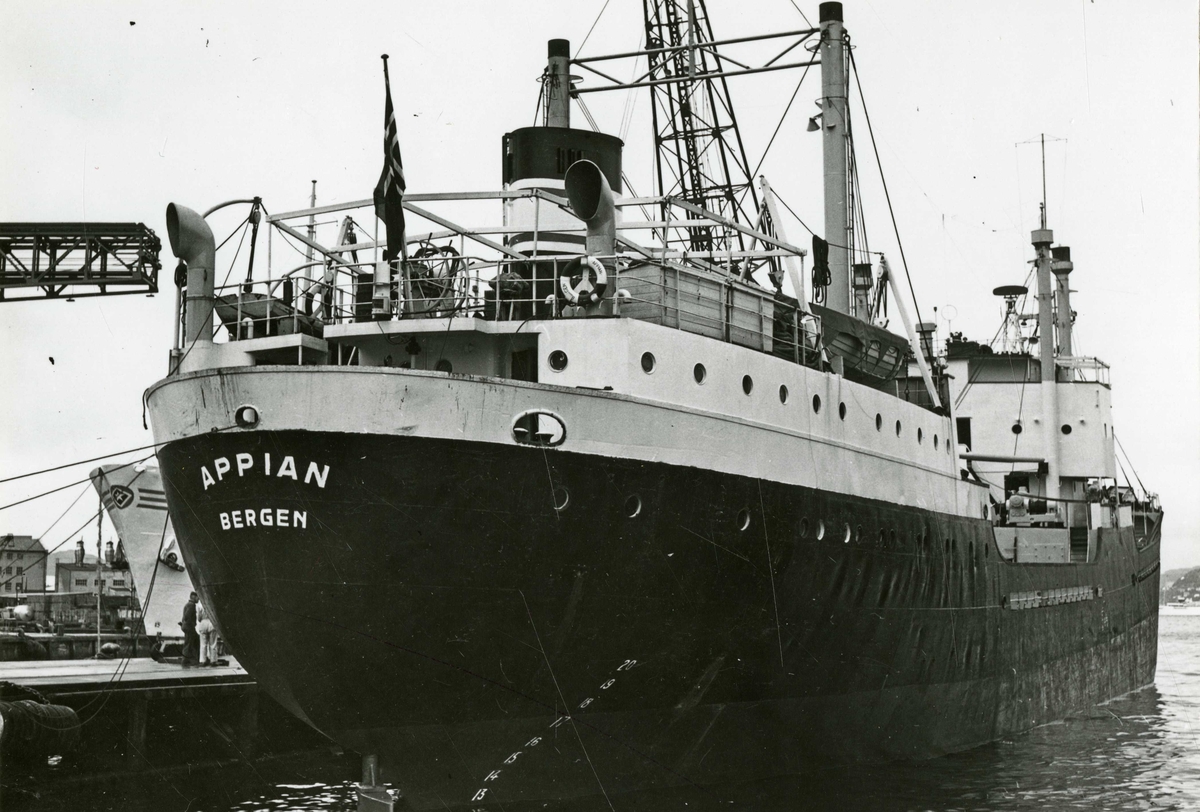 M/S Appian (b.1950, Bergens mek. Verksteder, Bergen)