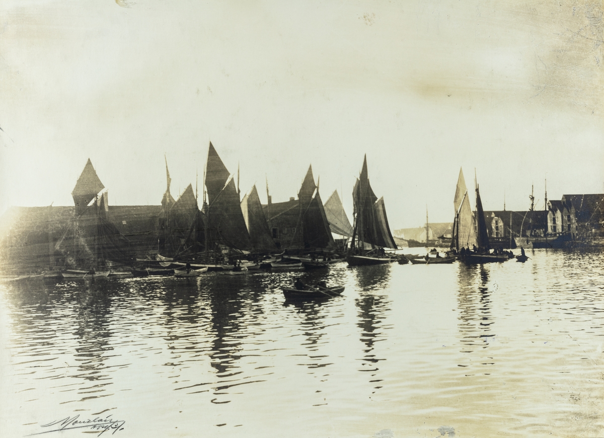 Smedasundet sett mot nordvest, ca. 1895.