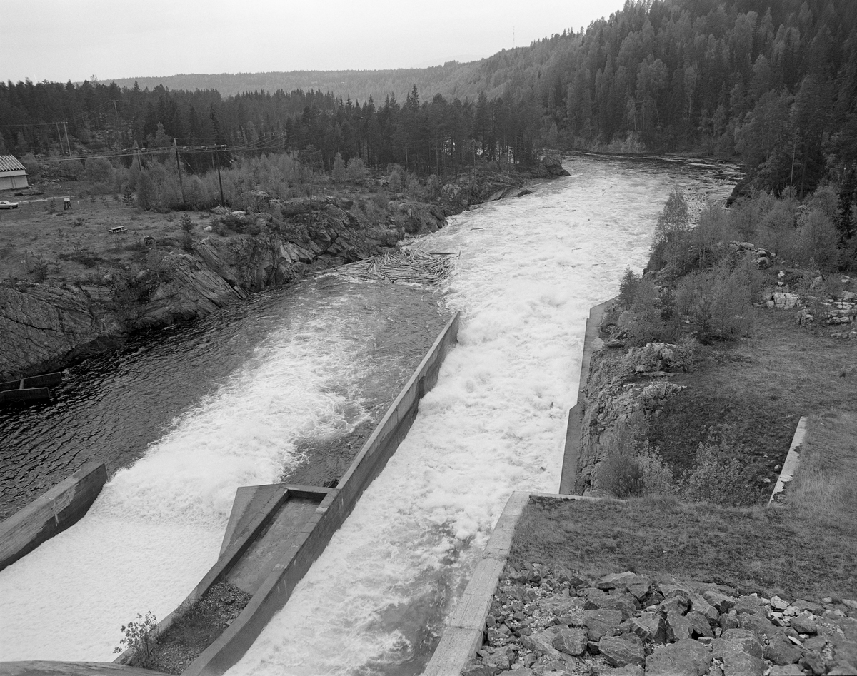 Tømmer slippes gjennom Løpsjødammen i Søndre Rena, Åmot kommun i Hedmark i forbindelse med fløting, Tømmerslipp. Renaelva.