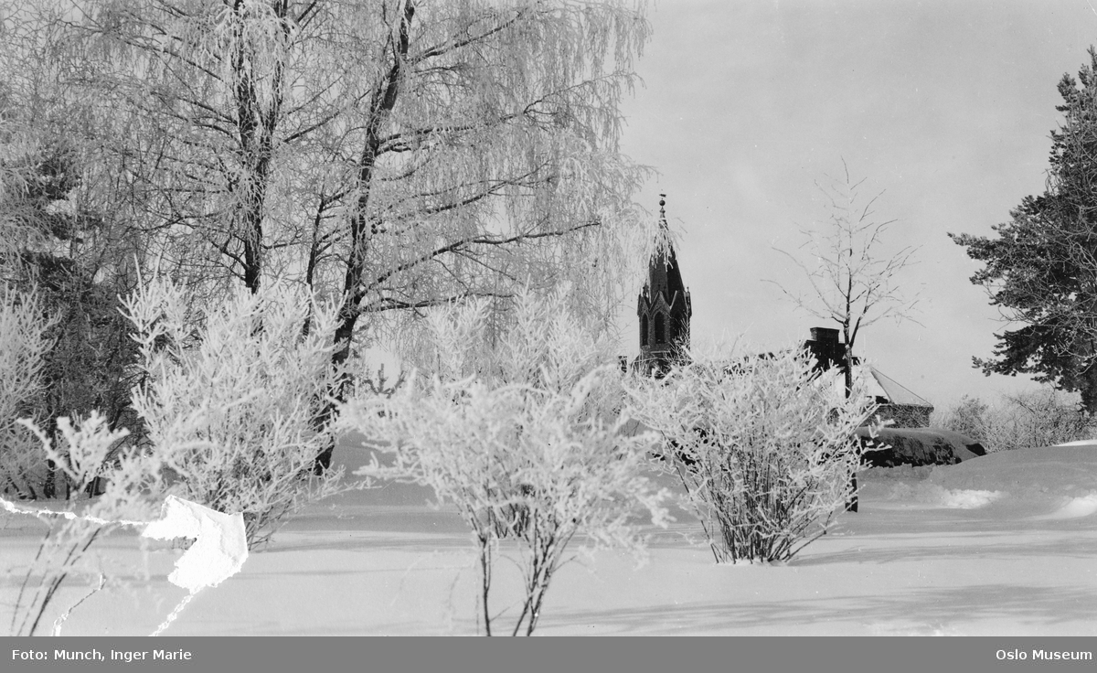 trær, snø, Nordstrand kirke