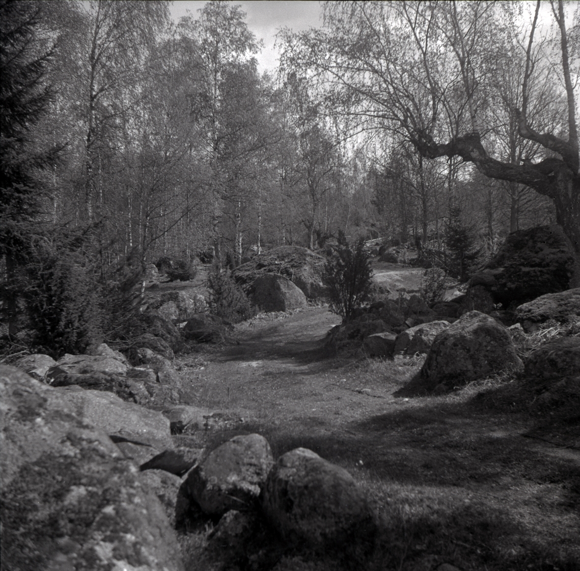 Väg kantad av stenar i Hökfors, primitiv väg skapad genom vältande av stenarna åt sidan.