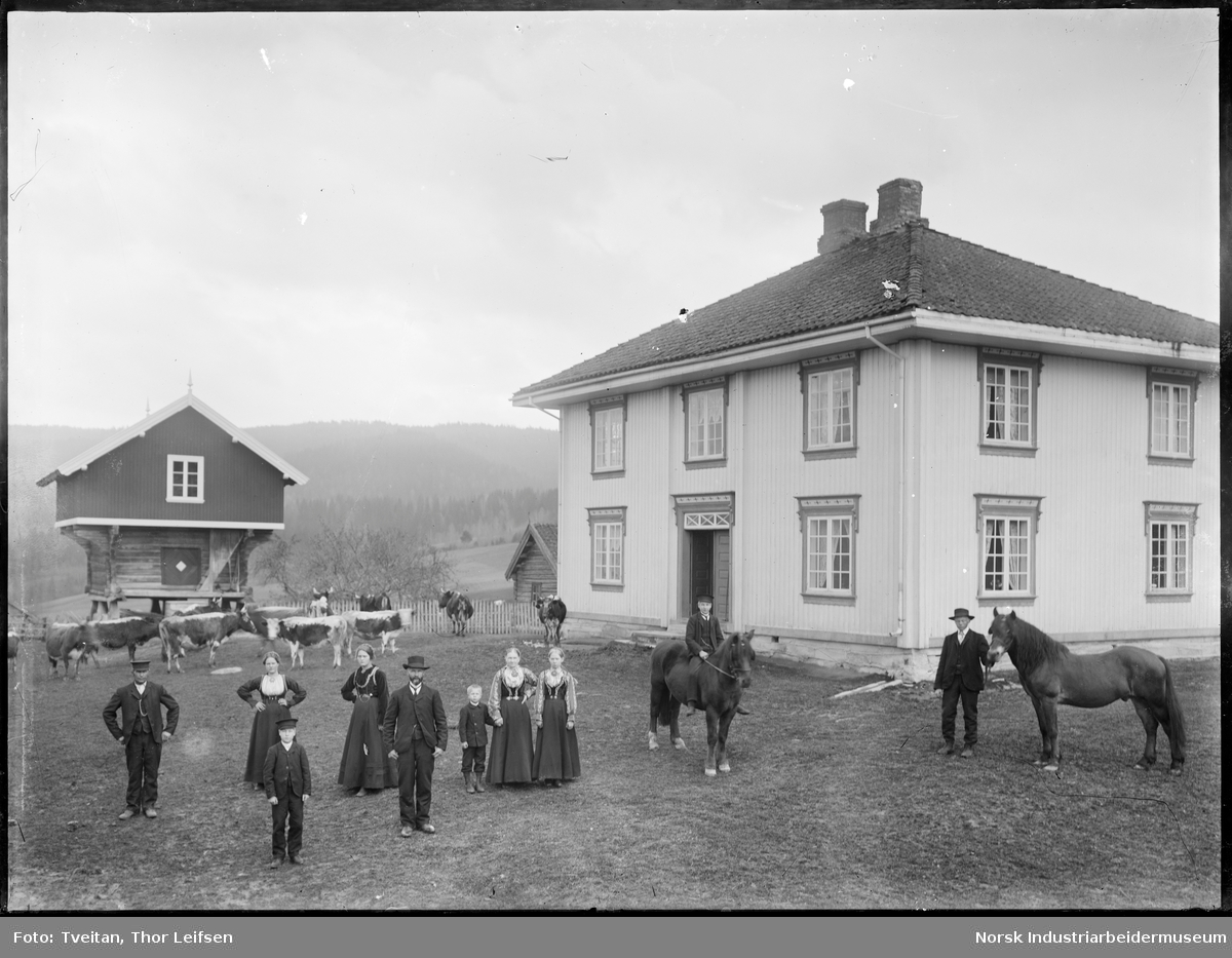 Gårdstun med husfolket og tjenestefolk stående foran stabbur og bolighus sammen med hester og Telemarkskuer. En av mennene sitter på hest. Stabbur i bakgrunnen.