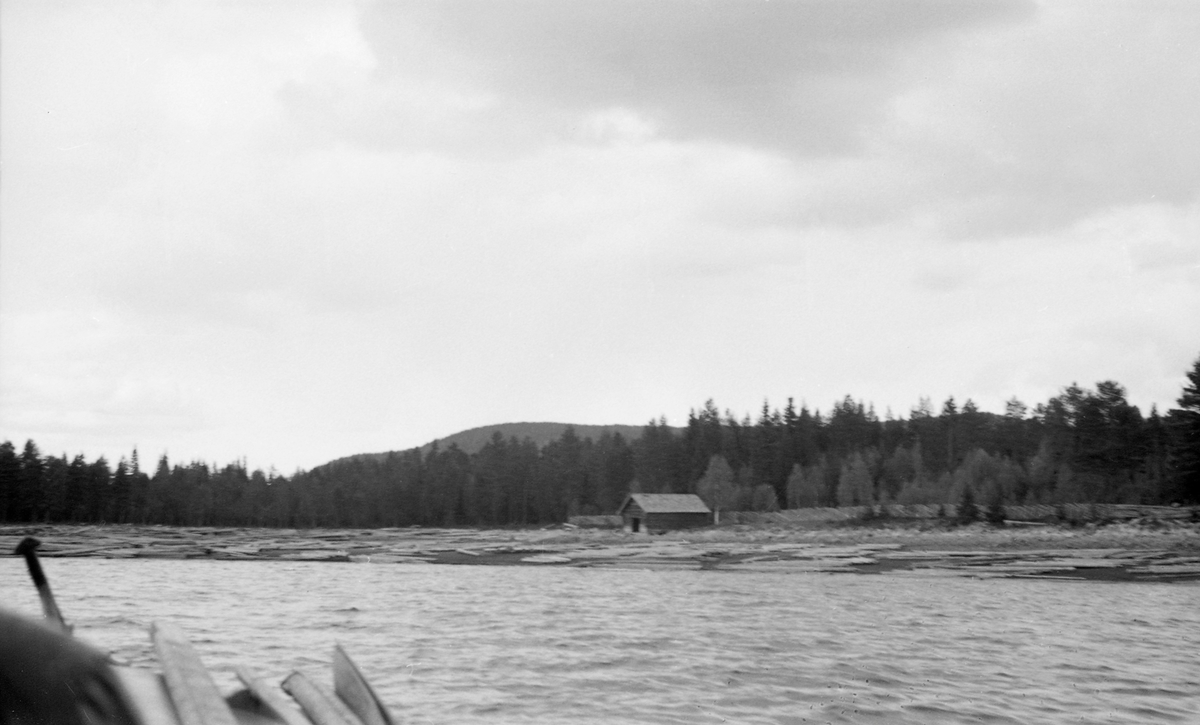 Osensjøens strandsone ved Fuglesanden, som ligger på østsida av sjøen, sommeren 1941.  Fotografiet er tatt fra båt inn mot land, der det ligger en god del tømmer oppover strendene til tross for at opptaket ble gjort i juni.  Sjøen var tappet såpass langt ned at utislagsarbeidet må ha blitt krevende.  Ved stranda ligger en bygning med gavl og døråpning mot sjøen, antakelig et båtnaust.  I bakgrunnen står barskogen tett.

I 1941 ble 150 683 tømmerstokker innmeldt til fløting fra Osensjøens strender. Dette utgjorde om lag 30 prosent av leveransene i Osenvassdraget. Det øvrige virket kom fra tilløpselvene og fra avløpselva Søndre Osa med sidevassdraget Østre Æra. 1941 ble for øvrig en helt spesiell fløtingssesong i Osen. Glommens og Laagens brukseierforening tappet nemlig sjøen kraftig foregående vinter. Ettersom det var lite snø og en kjølig vår med lite nedbør, tok det lang tid å fylle sjøen igjen. Her lå det fortsatt tømmer i ei tørrlagt strandsone, sjøl om bildet er tatt i juni. Tappinga av fløtingsvirke gjennom Osdammen ble ikke startet før 4. august. Dette innebar etterfløting i Glomma sør for Rena, der østerdalstømmeret for lengst hadde passert, og ikke ubetydelige ekstrakostnader for Glomma fellesfløtingsforening. Utgiftene knyttet til utislagsarbeidet langs Osensjøens strender ble en forhandlingssak mellom skogeierne og Brukseierforeningen.