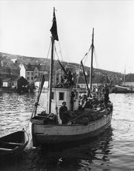 Fiskeskøyte med allierte soldater på Harstad havn. "Gammelbr