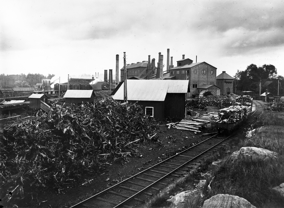 Forsbacka jernverk. Vedtugg och stubbupplag. Foto: Carl Larsson, 1920-talets början.