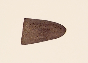 Nackfragment av trindyxa.