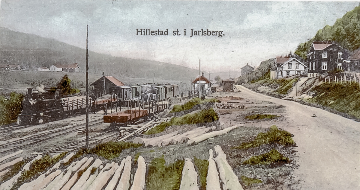 Blandet tog og persontog på Hillestad stasjon, fellesstasjon for Holmestrand-Vittingfossbanen og Tønsberg-Eidsfossbanen. Til venstre HVBs damplok nr. 1 eller 2, til høyr TEBs damplok TØNSBERG eller EIDSFOSS
