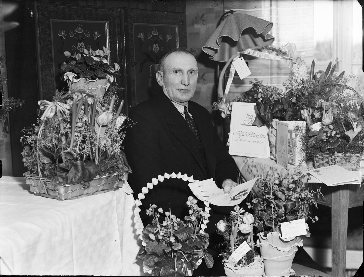 Adolf Pettersson omgiven av blommor firar 70-årsdag, Östhammar, Uppland 1949