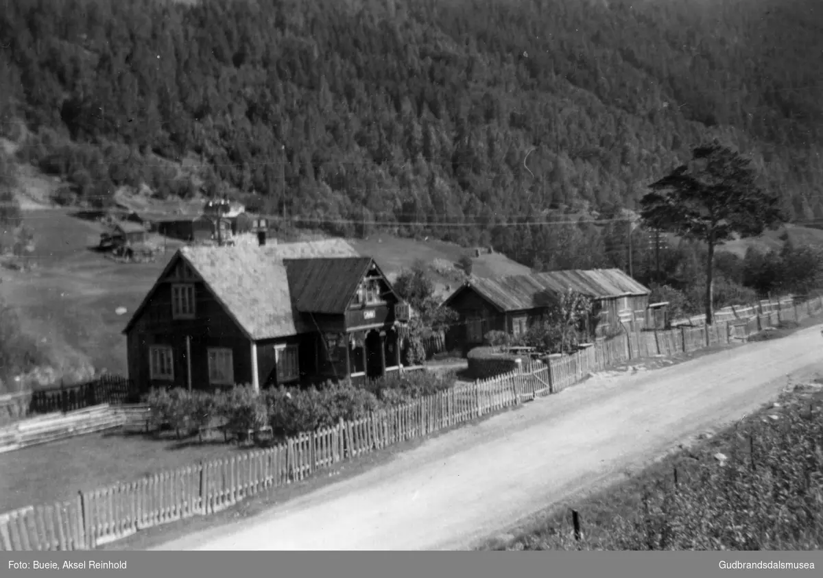 Myhre på Dovreskogen hausten 1955.