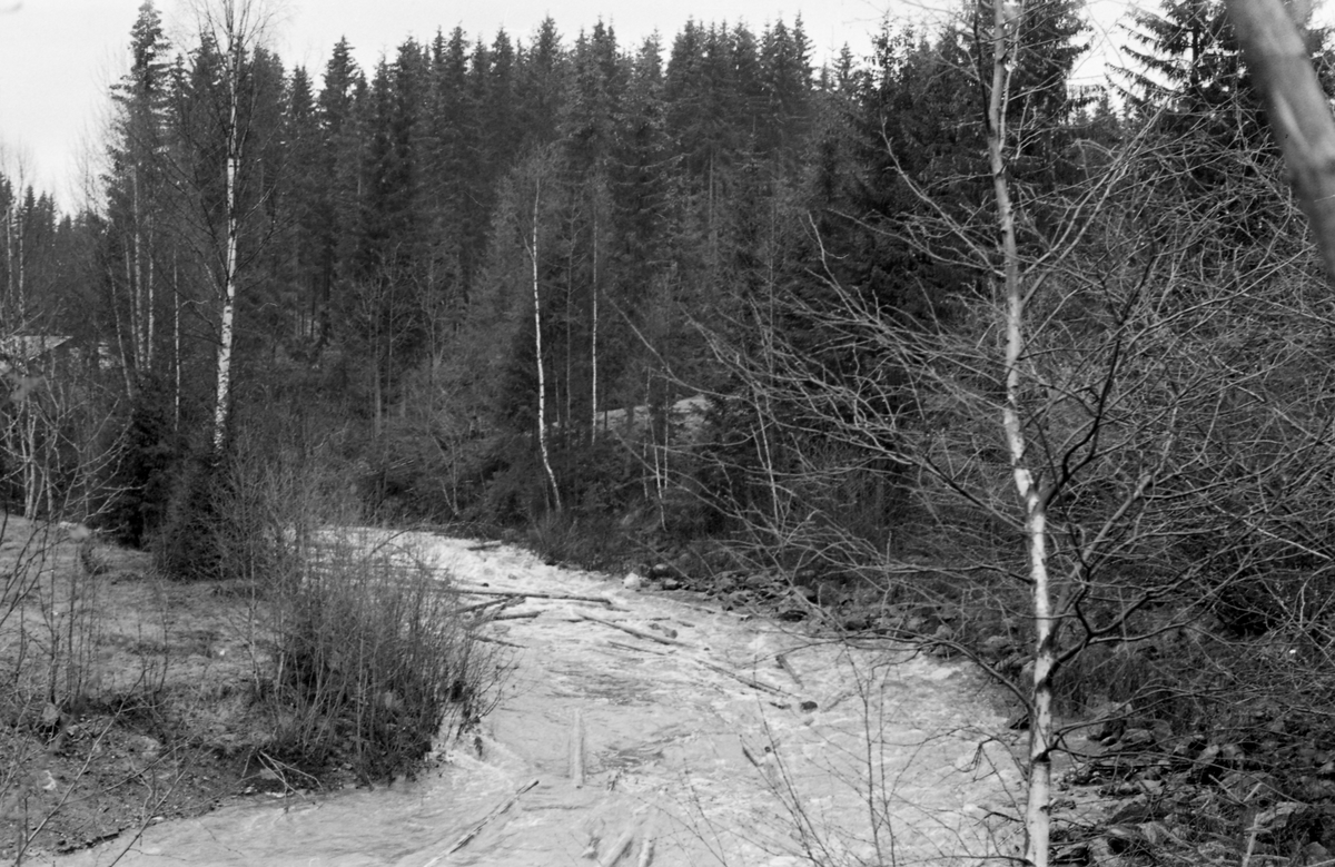 Tømmerfløting i Løsetåa i Nord-Odal i Hedmark i midten av mai 1955. Bildet er tatt fra en bakkekam på nordøstre elvebredd, ned mot en elvesving og et ovenforliggende stryk, der det fløt tømmer på vann som hadde vært magasinert i den ovenforliggende Køidammen. I 1955 var det innmeldt 57 241 tømmerstokker med et samlet volum på 6 782 kubikkmeter til fløting i Løsetåa. Dette utgjorde 7 prosent av fløtingskvantumet i Odalsvassdraget dette året.