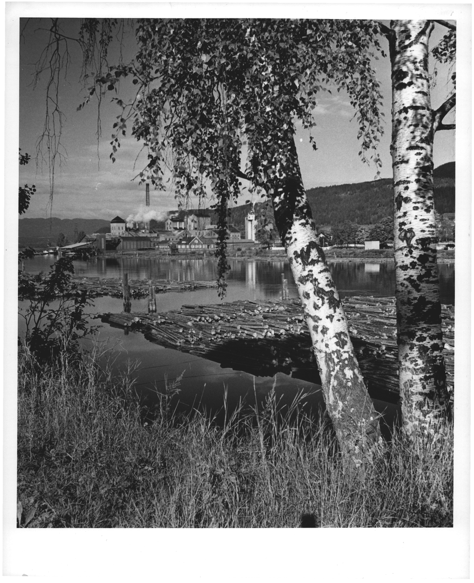 Krogstadelven Cellulosef. ved Mjøndalen