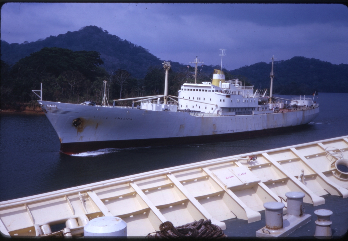 Skipet 'Frubel America' i Panamakanalen, sett fra baugen på cruiseskipet 'M/S Sagafjord'. 'Sagafjord' Around The World via Africa Cruise 1966.