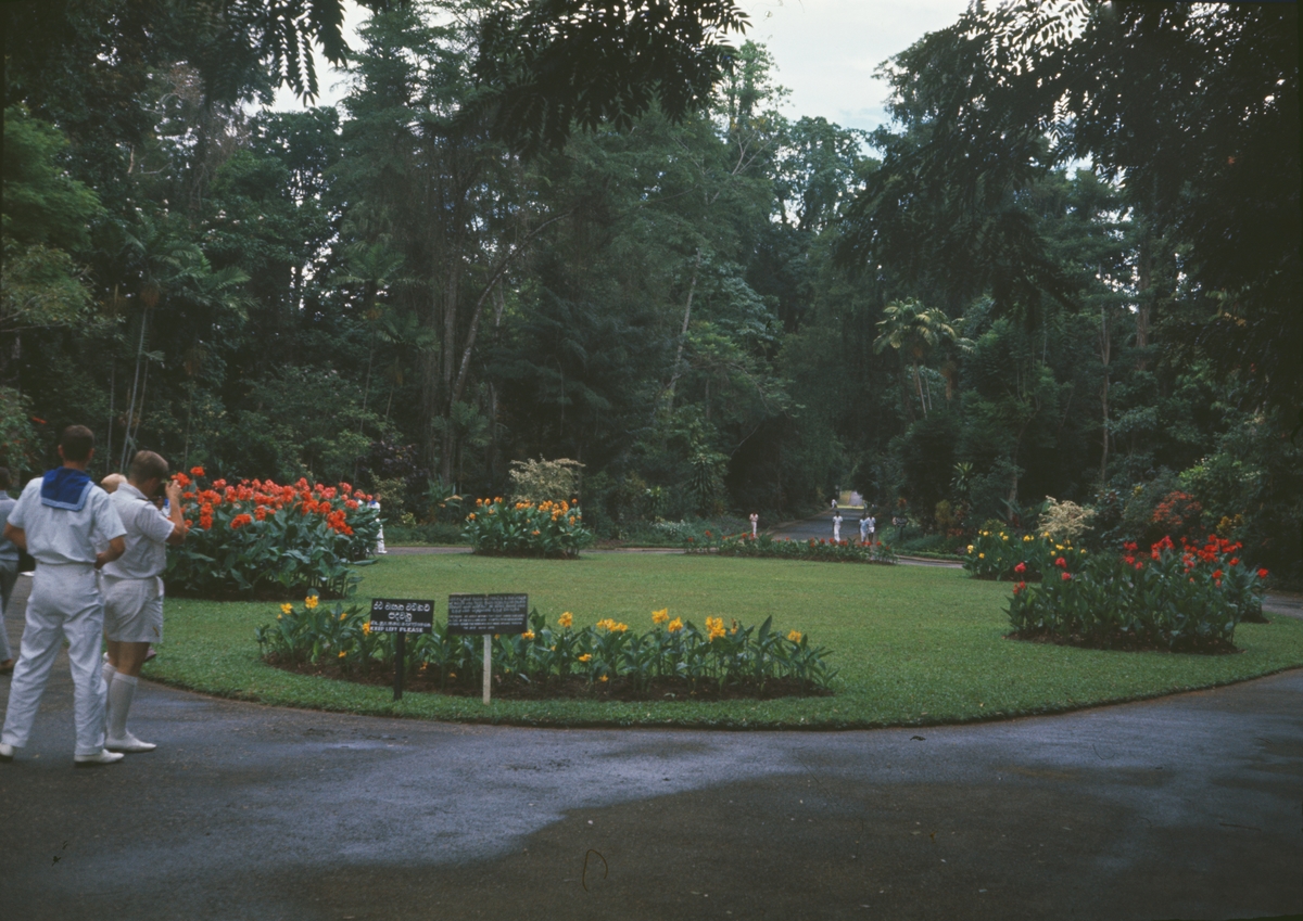 Älvsnabbens besättningsmän besöker den botaniska trädgården i Colombo.