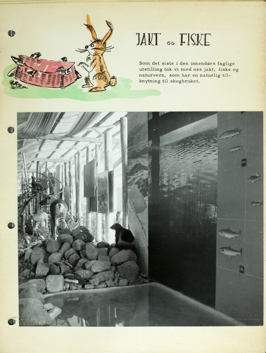 Dokumentasjon av jakt og fiske utstillingen som var en del av landbrukets jubileumsutstilling i 1959