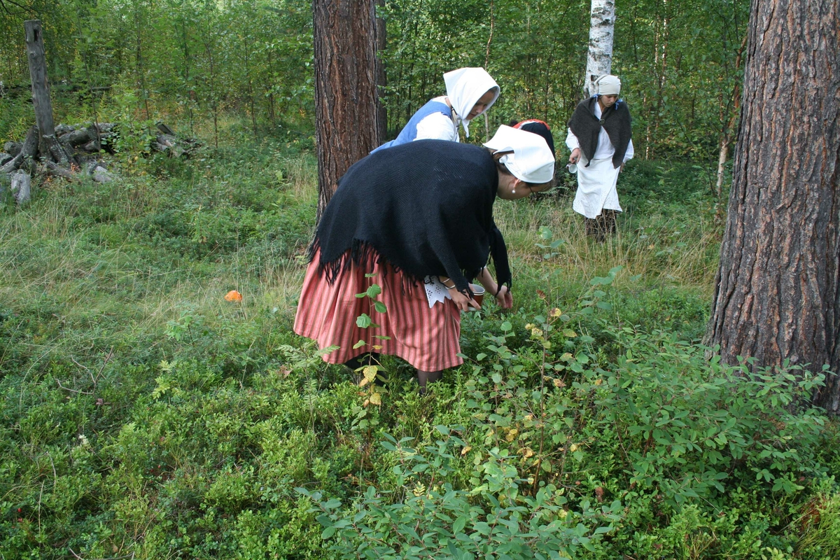 Jentene plukker bær