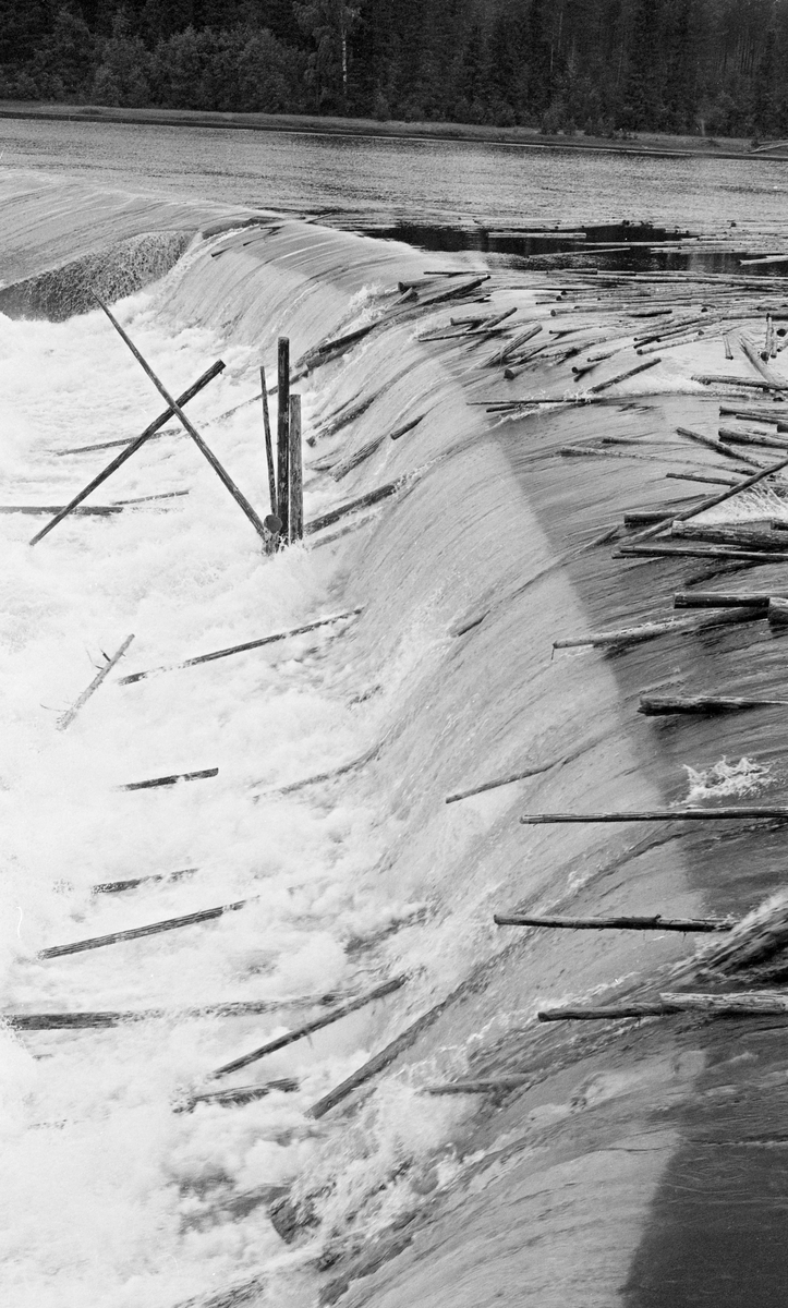 Fløtingstømmer i Skjefstadfossen i Glomma. Denne lokaliteten ligger i den nordre delen av Heradsbygda i Elverum. Her ble det i forbindelse med kraftutbygging i 1909-1910 bygd en terskeldam som samlet vann til en kraftstasjon ved den vestre elvebredden. Dette fotografiet er tatt sommeren 1959, fra den østre sida av elva, der det var en betongmur med rekkverk, et ytterlig utsiktspunkt for alle som ville betrakte fossen og fløtinga i vassdraget. Bildet er tatt fra dette utsiktspunktet. Som vi ser gikk det meste av tømmeret her i den østre delen av elvefaret. Sannsynligvis ble løstømmeret lenset i denne retningen på oversida av dammen, for på nedsida var det kraftverk på vestsida og steinører der stokkene hadde lett for å sette seg fast i den sentrale delen av elveløpet. Damanlegget ved Skjefstadfossen ble ombygd i midten av 1960-åra. Deretter ble også kraftstasjonen fornyet - jfr. fanen «Opplysninger».

I 1959 ble det innmeldt 12 102 272 tømmerstokker med et samlet volum på 1 219 571 kubikkmeter til fløting i Glomma. Cirka en tredel av det innmeldte tømmeret kom fra bygdene nord for Skjefstadfossen.