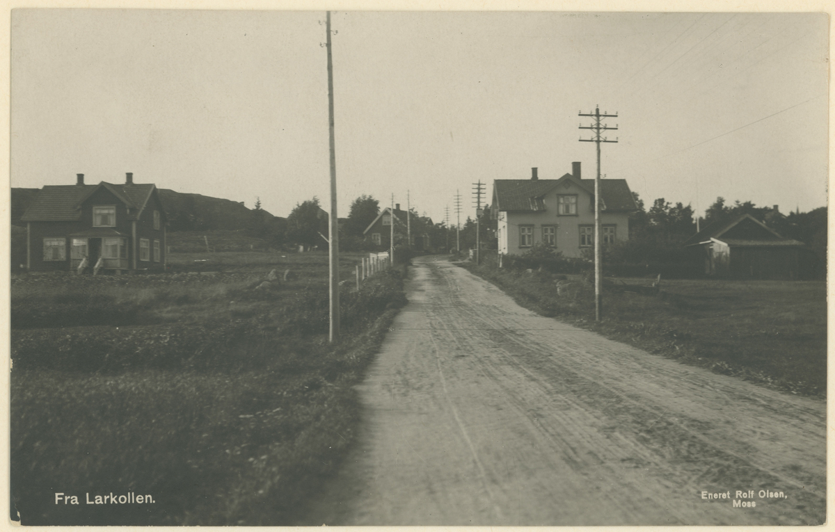 Larkollen, fem postkort, ca. 1910.
Tekst på samtlige bilder: "Fra Larkollen. / Eneret Rolf Olsen, Moss"

Bilde 1:
Larkollveien.

Bilde 2:
Bielmannsbakken med Røeds Hotel.

Bilde 3-4:
Eldre boligbebyggelse.
To kopier av samme bilde.

Bilde 5:
Festningen, senere kjøpt av Gjøvik-familien Mustad; senere solgt.