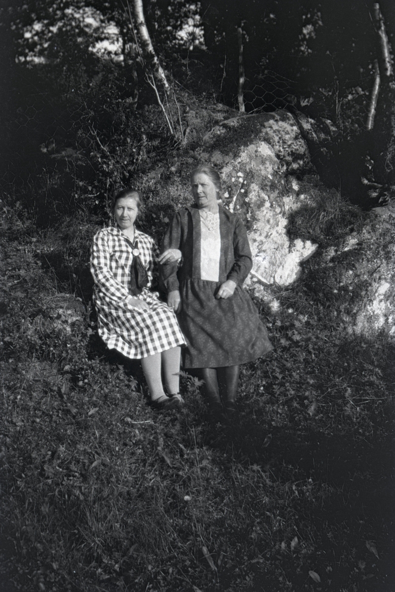 Portrettfotografi av to kvinner i skogen ved et gjerde.