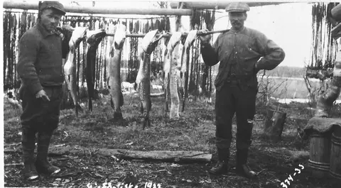 Mat og tradisjonskost i Nord-Østerdalen