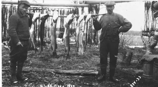 Mat og tradisjonskost i Nord-Østerdalen
