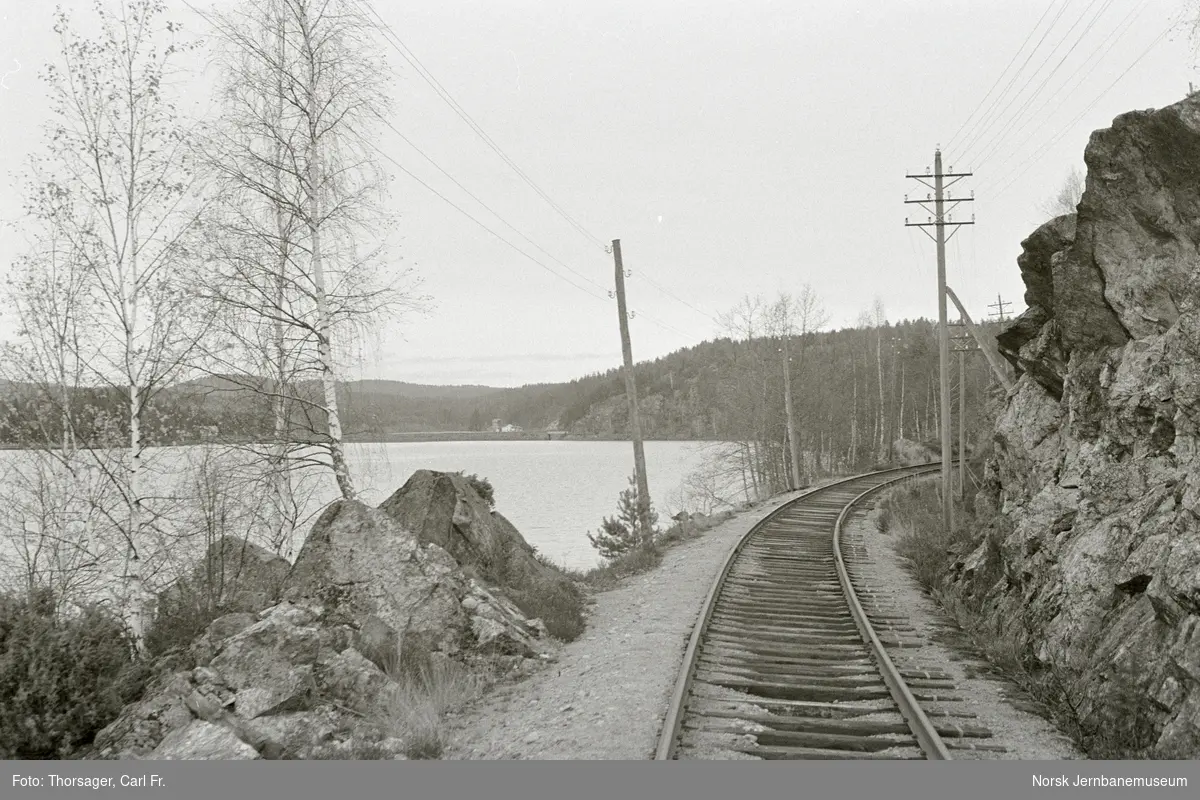 Parti fra Treungenbanen mellom Nelaug og Simonstad