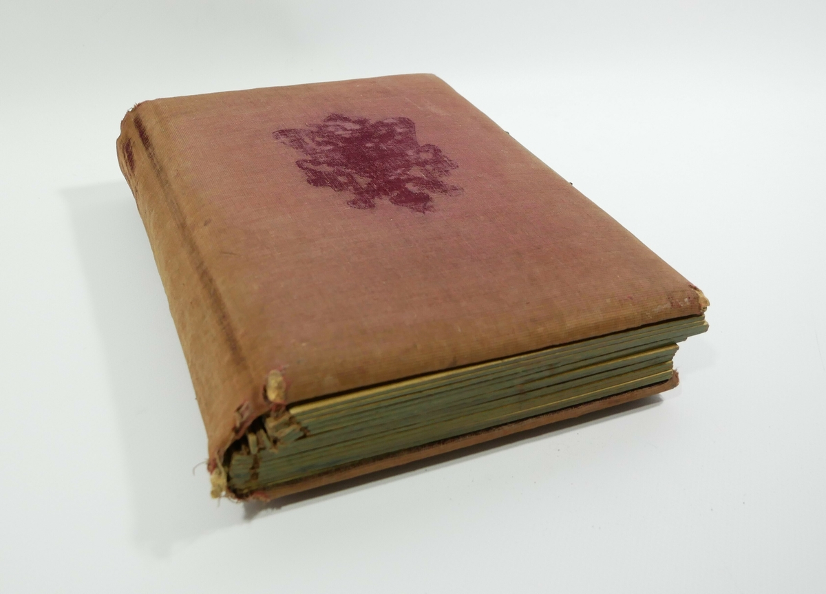 Rektangulært stående fotoalbum med 30 sider. Albumet har omslag med falmet rødt tekstil med dekor midt på på forsiden. På den ene siden på forsiden er det en metalldel. 