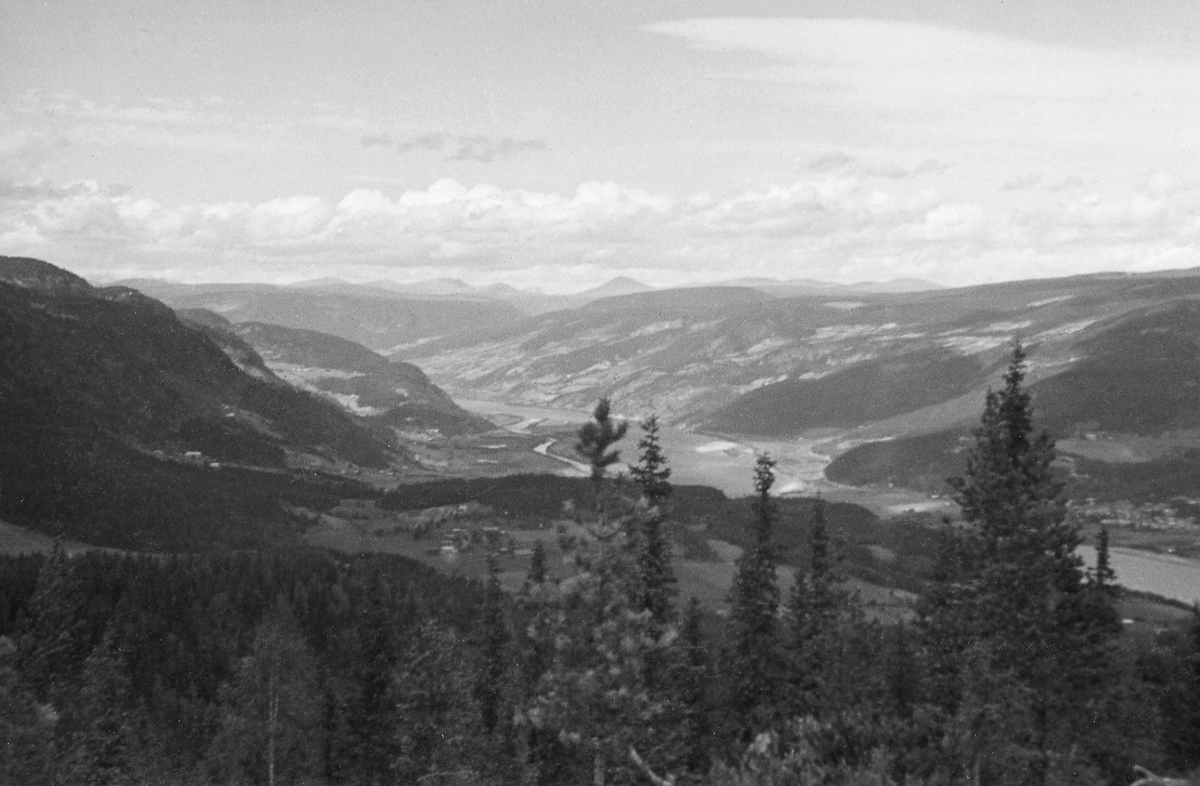 Utsikt over skoglandskapet som preger terrenget mellom Fugleleikhaugen på «baksida» i Fåvang og kommunesenteret Vålebru i Ringebu kommune.  Skogen her er dominert av treslaget gran.  I dalbotnen nedenfor ser vi elva Lågen, og på «solsida» (østsida) av dalen ser vi åkerlandskapet i grenda Vekkom.  Mot horisonten – sentralt i bildet – skimtes fjellet Muen. Fotografiet er antakelig tatt i juni 1942. 