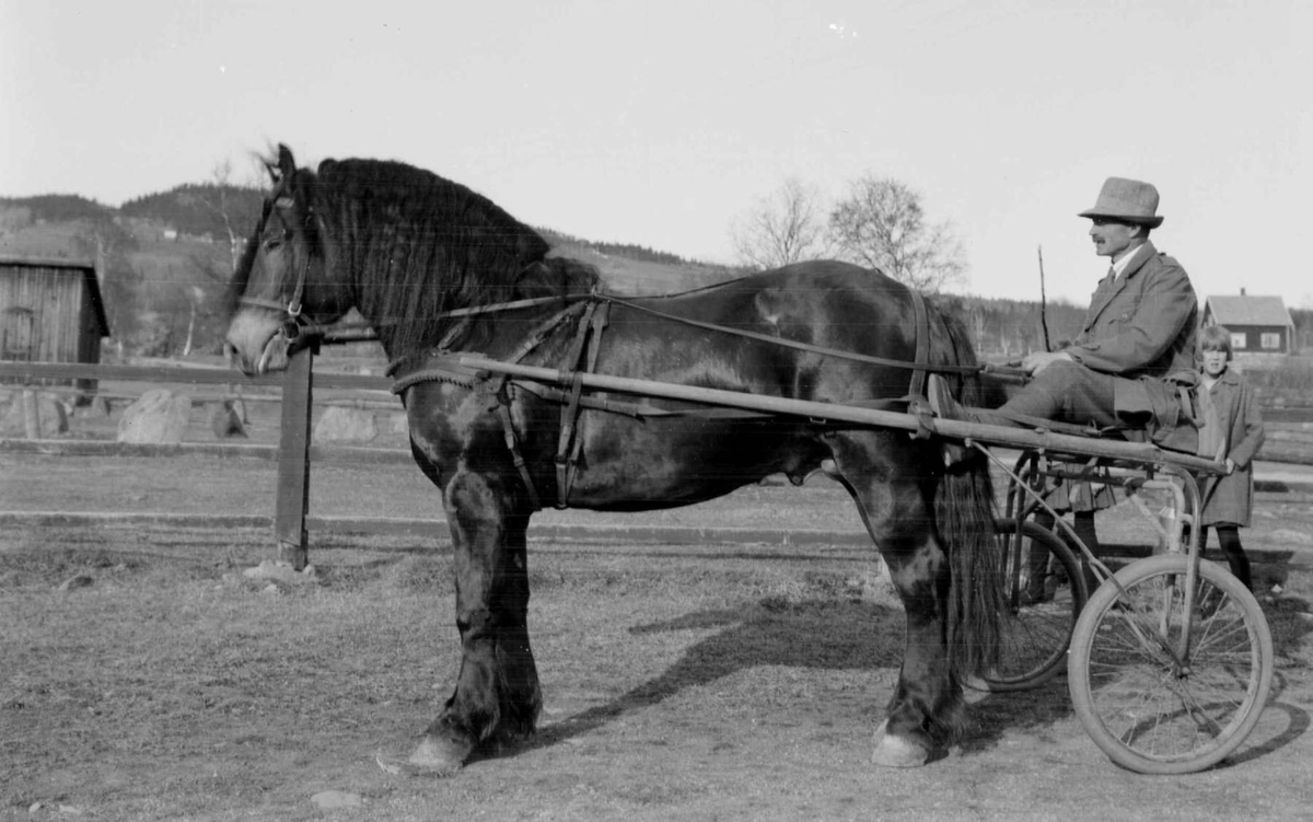 Hest med mann i sulky. Øril. Hingsteutstilling 1929 på Smestadmoen.