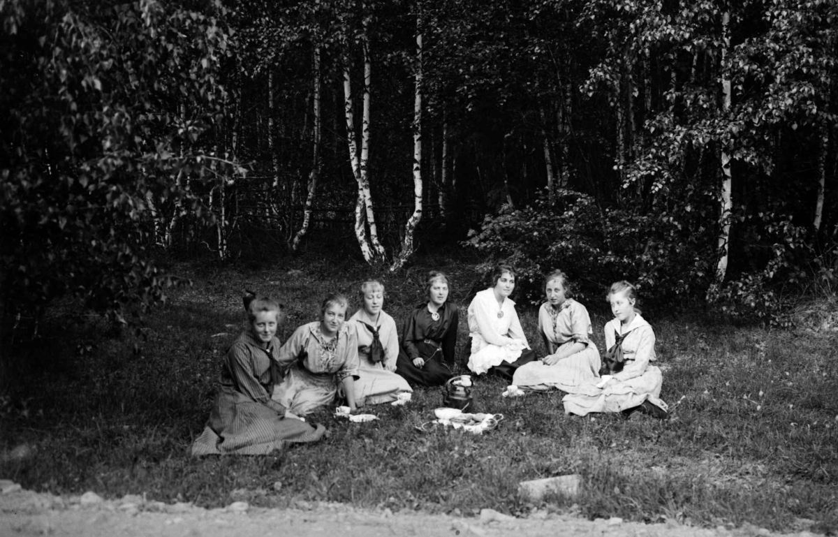 Gruppe med unge kvinner, på piknik tur