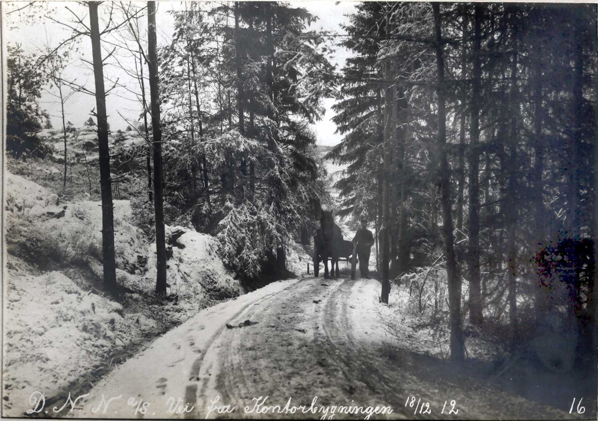 "18/12-1912" Nitriden. Idyllisk vei fra kontorbygningen. Hest og kjerre vanlig framkomst- og transportmiddel.
