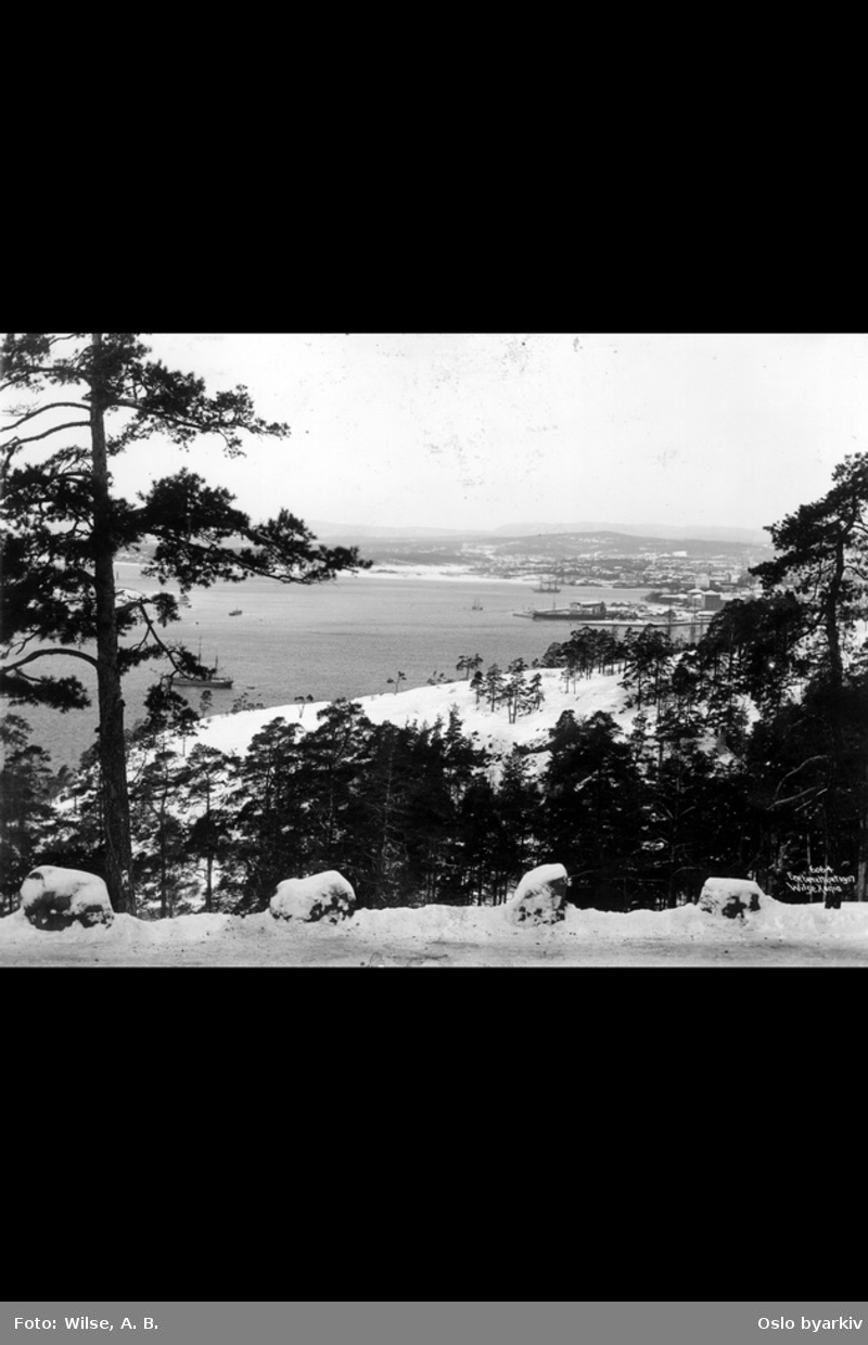 Veikant markert med stein, vinter, utsikt over Oslo havn
