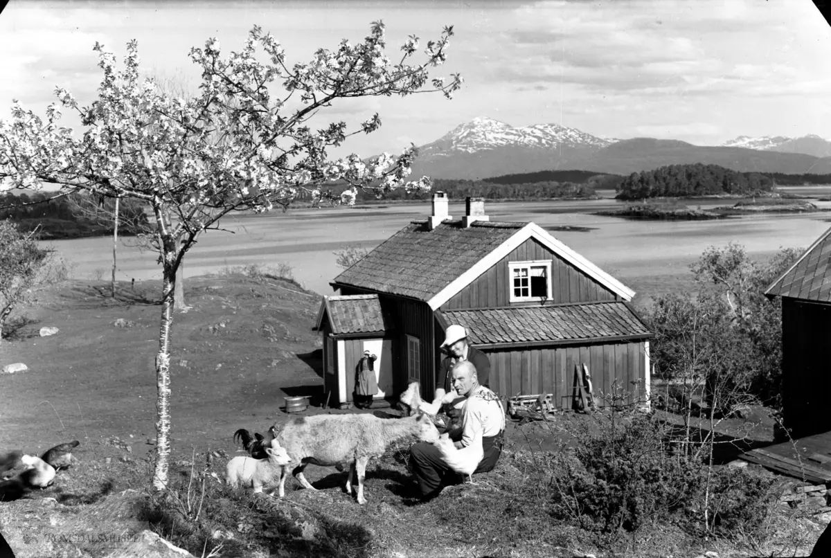 Hjertøyplassen med fjellet Skåla i bakgrunnen..Familien bodde på Hjertøya kring 1915. (ca 1915).(Se Romsdalsmuseets årbok 1998)