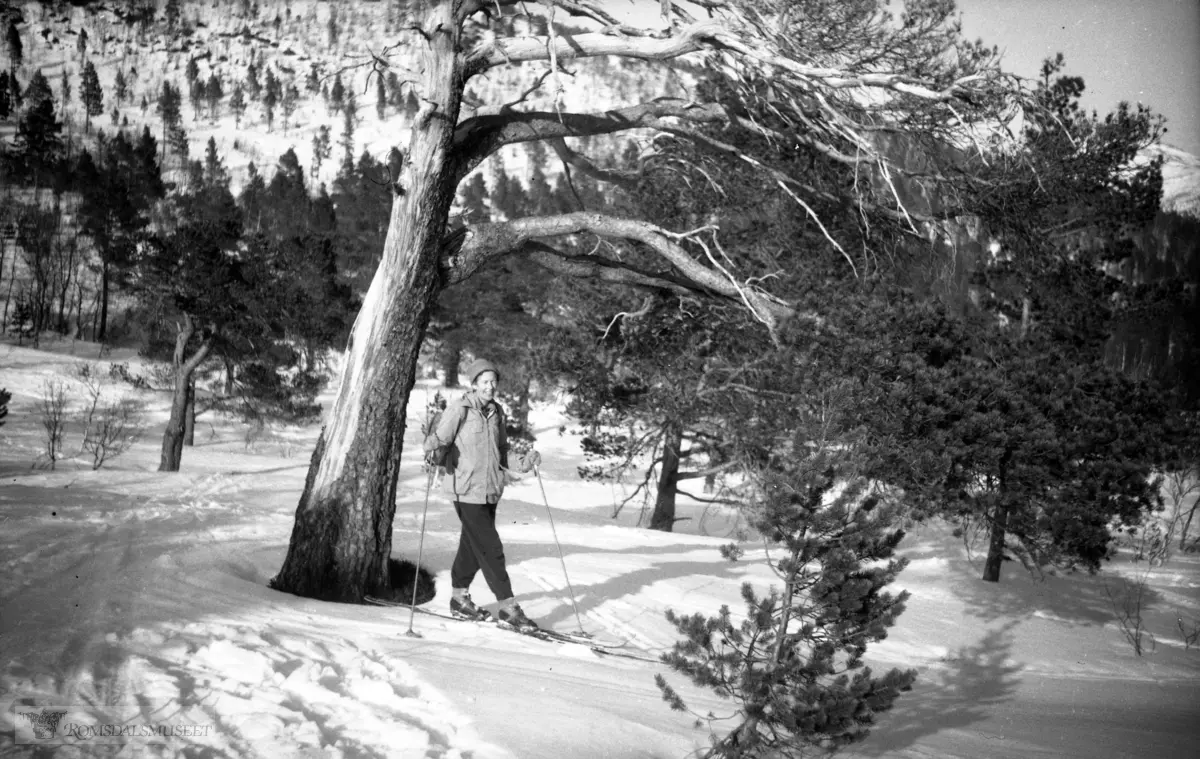 Rakel Gjenstad på skitur.(Bilde tatt mellom 18.03.1951 og 08.07.1951)