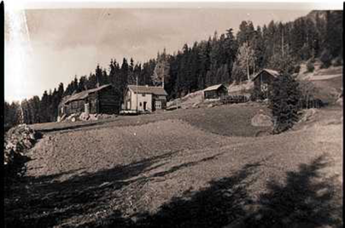 Gardstun, skog, jorde. Hulen (Granli). Ca. 1950
