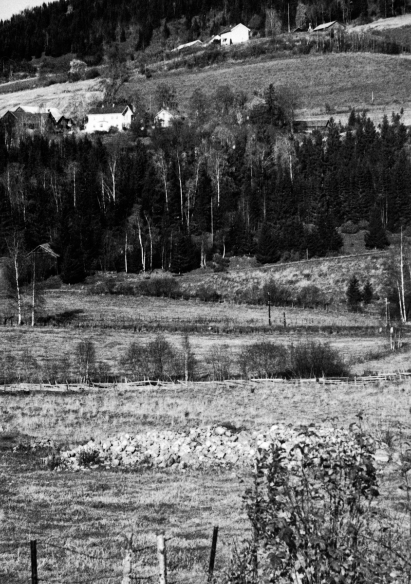 Utsikt fra Prøysenstua, steinrøysa neri bakken, Fuglseng, Skyberg øvre, Rudshøgda, Ringsaker.