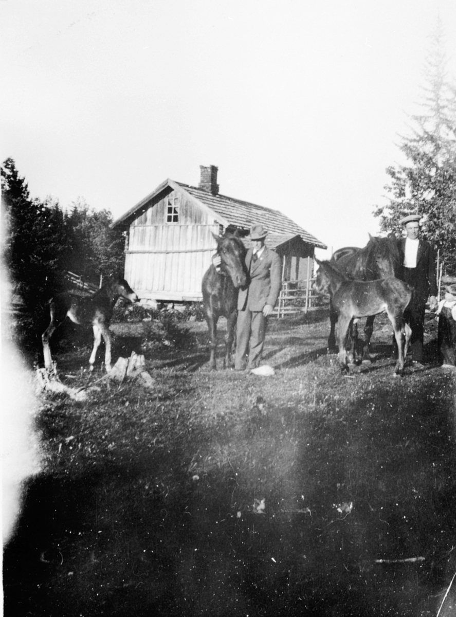 Husmannsplassen Moss, Helgøya. Hester med føll. Fra venstre er Birger Larsen, Paul Røste, Tor Stai. Den vesle jenta er Aud Stai.