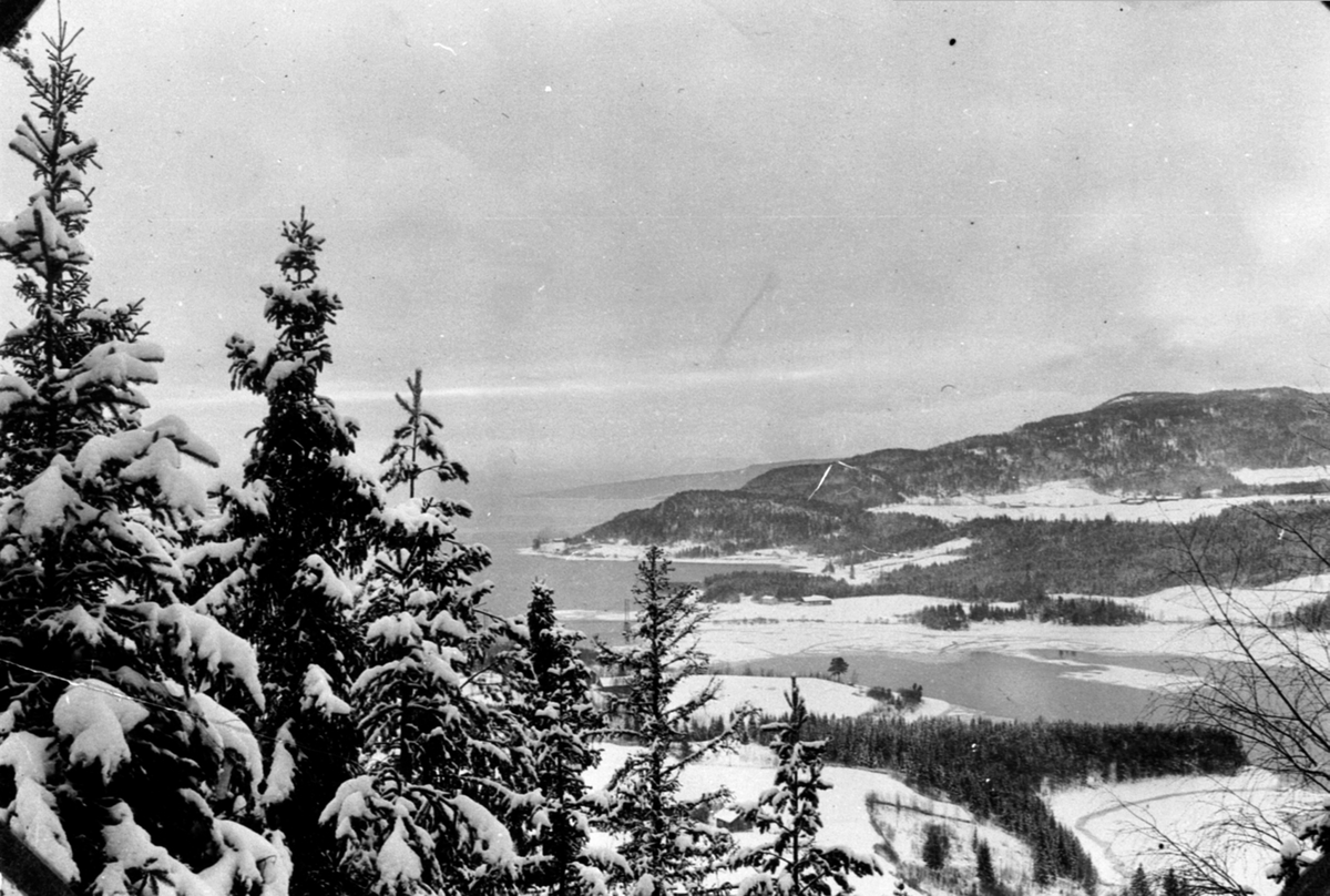 Utsikt over Bundefjorden, Kvarbergvika og Bangsberg fra Fangberget, Veldre, Ringsaker.