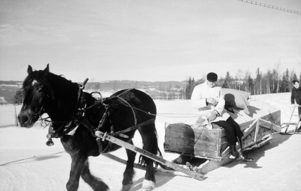 Mann Med Hest Og Slede Med Flislass Furnes Almenning Anno Domkirkeodden Digitaltmuseum 