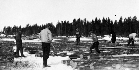 DAMMEN SAG, SAGHUSET, VESTRE SKOGBYGD, MERKING AV TØMMER, CA. 1934 ...