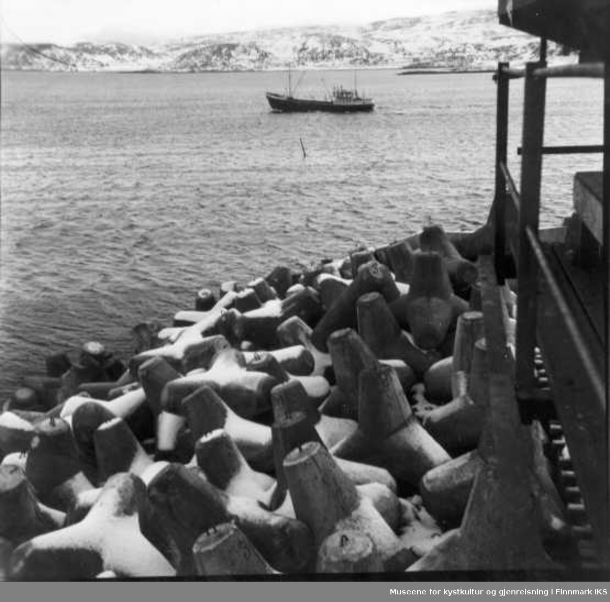 Tetrapoder utlagt på molohodet på Svartoksmoloen. 1963