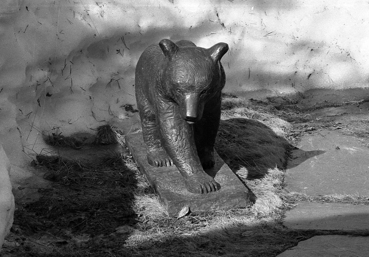 Bjørn, skulptur