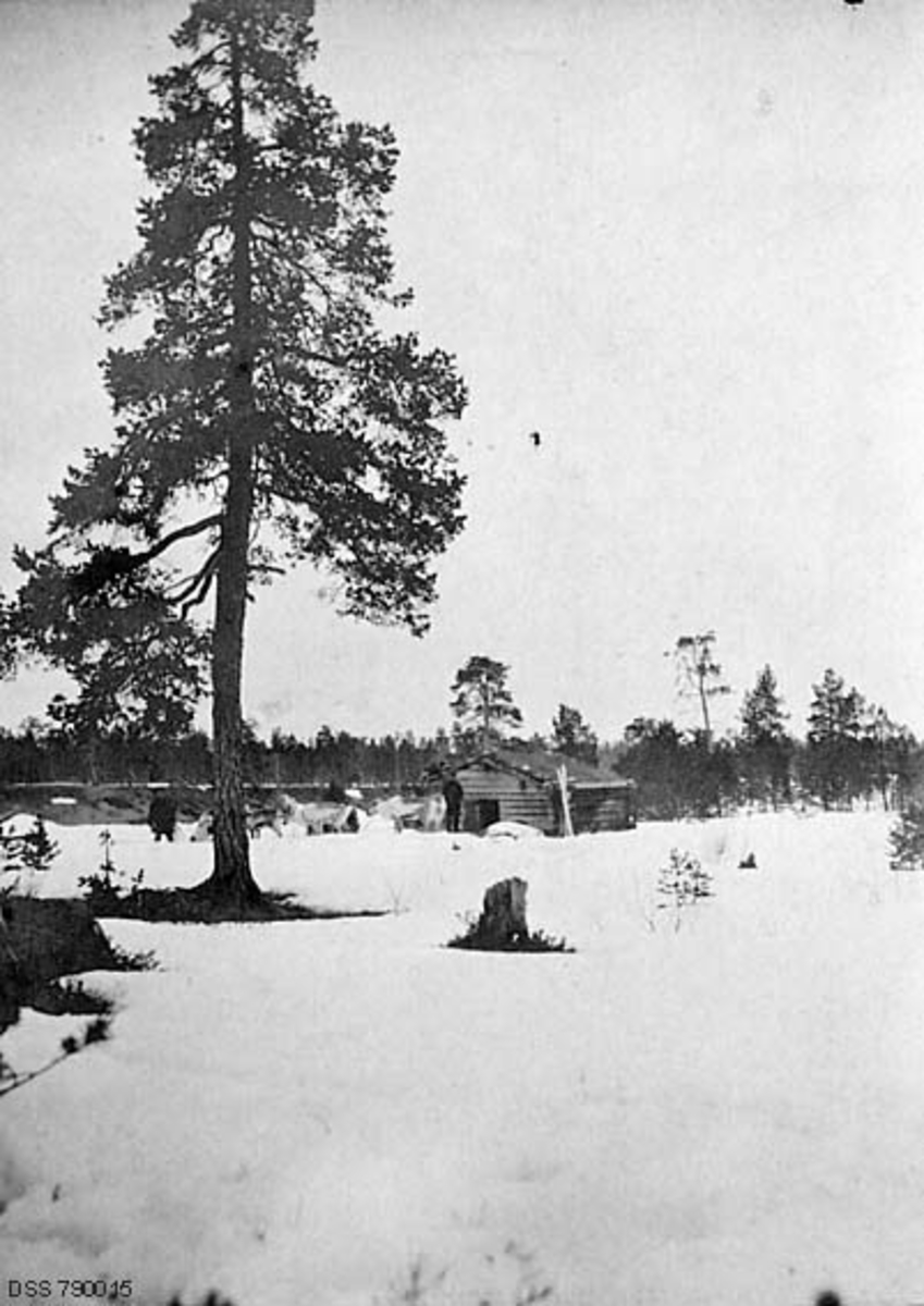 Et skogshusvær i øvre del av Pasvikdalføret i Finnmark.  Fotografiet er tatt på litt distanse i april måned i 1907.  Det lå fortsatt snø på marka, men den hadde brånt under ei furu til venstre i forgrunnen og omkring en stubbe sentralt i bildeflata.  Skogstua eller koia i bakgrunnen er en rektangulær laftekontstruksjon med dør i gavlenden, og med torvtekket saltak.  Foran inngangen ser vi to menn og fire-fem reinsdyr, antakelig kjørerein.  Ved det ene hjørnet av huset er det også oppstilt et par ski.  Skogshusværet ligger på ei åpent areal i et flatt lende med forholdsvis glissen furuvegetasjon.

I en tekst som er påført den statlige skogadministrasjonens kartotekkort for dette motivet (jfr. rubrikken «Tittel») har man kalt dette skogshusværet for «Klercks Minde».  Det er vel grunn til å anta at dette var et ironiserende navn på dette enkle husværet.  Det er nærliggende av anta at navnet refererer til en av to Klerck-karer som hadde posisjoner i statens skogforvaltning i denne delen av Finnmark.  Magnus Christian Falsen Klerck (1817-1891) var lensmann, skogfut, poståpner og gardbruker på eiendommen Elvenes i Sør-Varanger.  Hans sønn Arthur Klerck (1866-1943) gikk tok skogskoleutdanning i Steinkjer, og ble skogtilsynsmann i hjemtraktene etter at han hadde gjort det.  I 1903 ble han utnevnt til skogforvalter i Øst-Finnmark, en posisjon man ellers vanligvis måtte ha høgskoleutdanning og forstkandidateksamen for å få.  Arthur Klerck var skogforvalter i 20 år, fram til 1923.  Han søke, i en alder av 57 år, avskjed fra skogforvalterstillingen med henvisning til at han hadde sviktende helse.  Han fortsatte likevel å arbeide for skogbruket i Øst-Finnmark, blant annet som fløtingsinspektør i Pasvikdalføret.

I en rapport fra 1908-1909 er «Klercks minde» betegnet med et samisk- eller finskklingende navn, «Nauoutsouando-stuen».

På moderne kart (2014) er navnet «Klercks minde» registrert som stedsnavn i bygdelaget Eiby i Alta.
