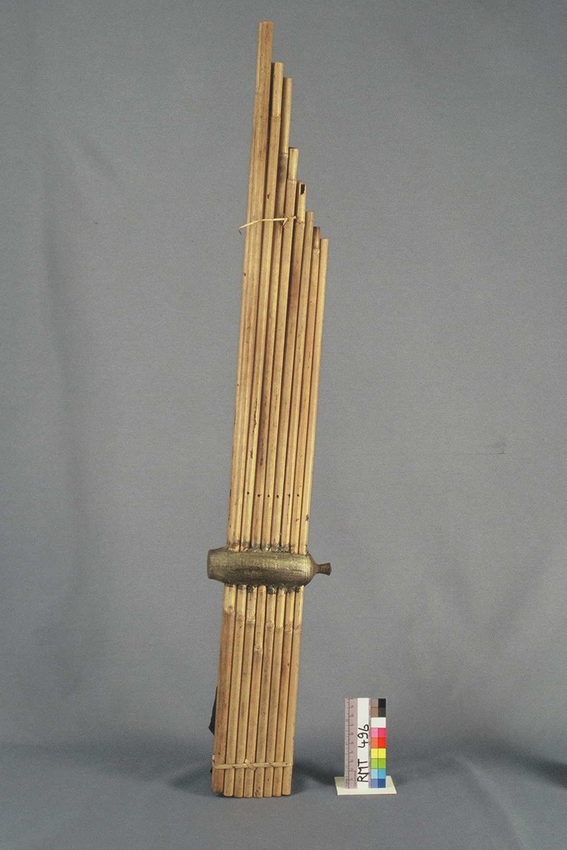 Munnorgel i bambus dekorert med forgylling. Vinladen er av tre, avlang, bønneformet, innblåsningshull i den ene enden, i den andre enden en tilnærmet kuleknapp. Gjennom vinladen går 16 smale, avstemte piper av bambus, parvis bak hverandre, hvert par like lange, de lengste fremst. Pipene er bundet sammen med bambusspiler øverst og nederst. Hver pipe har en spalteformet åpning på den delen som er inne i vinladen, og her sitter de avstemte gjennomslagstungene. Hver pipe har dessuten to udekte spalteåpninger, en på hver side av vindladen og vendt slik at ingen er synlige.
Alle piper har et lite fingerhull, de to fremste er vendt mot utøveren, de tolv neste på utsiden og litt lenger opp, de to bakerste er vendt litt fra utøveren og lenger ned. Den venstre av de sistnevnte er tettet igjen.
Vindladen har svake utskjæringer og er forgylt.