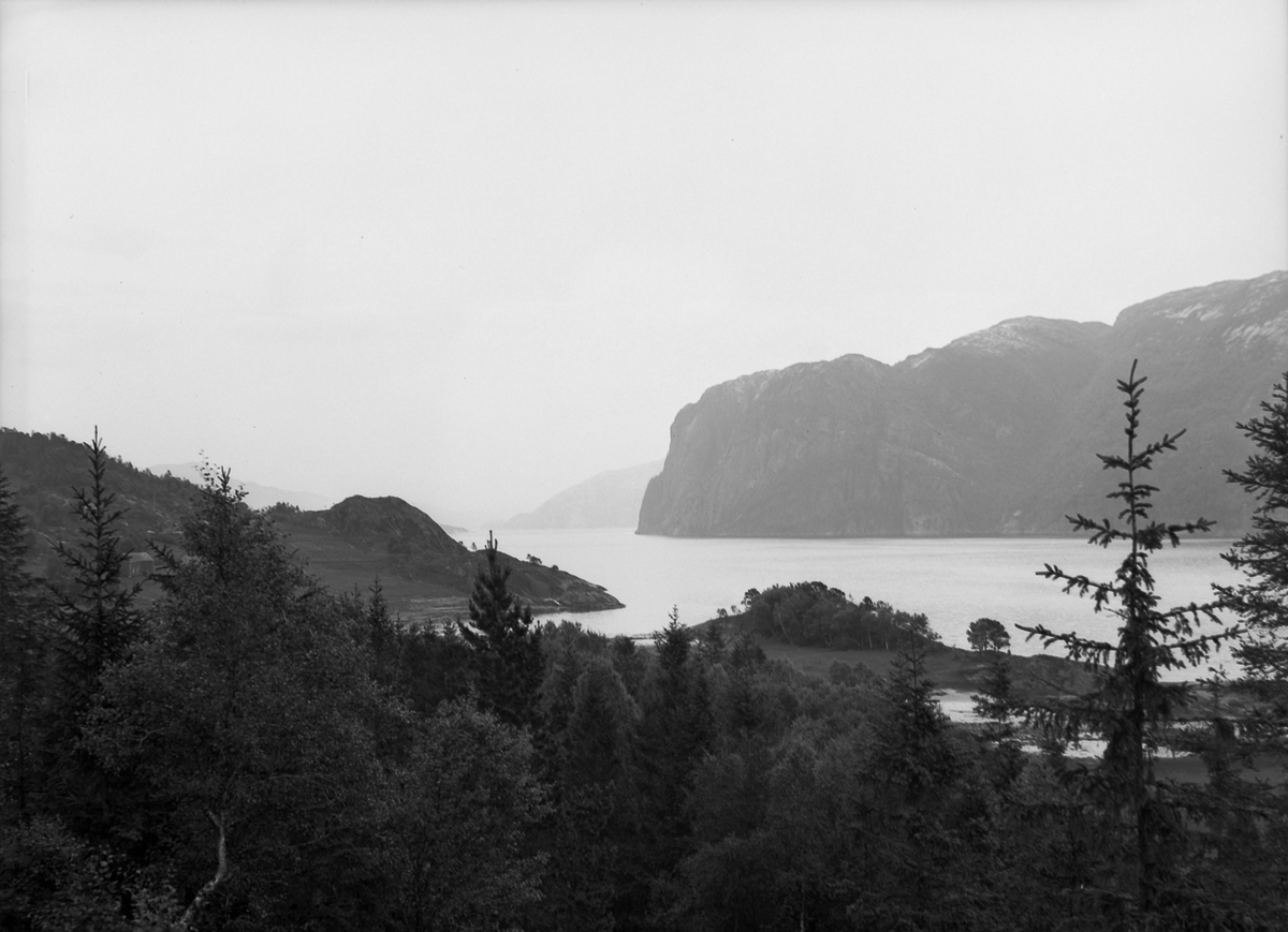 Skjolden ved Foldfjorden
