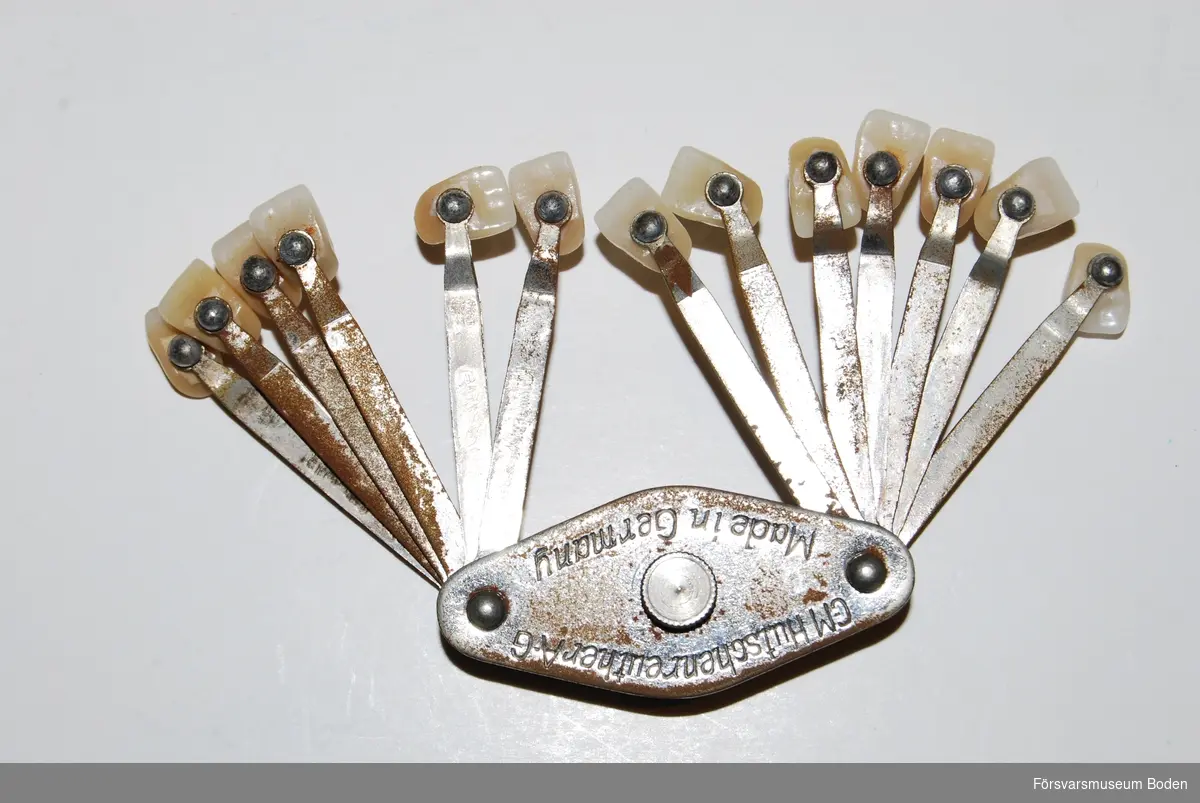 13 olika tänder av porslin eller liknande material monterade på metalltungor. Färgerna är numrerade 81-90 och 92-94. Varumärke "Fluordens", tillverkade i Tyskland av C.M. Hutschenreuther A-G. Troligen tillverkade före andra världskriget.