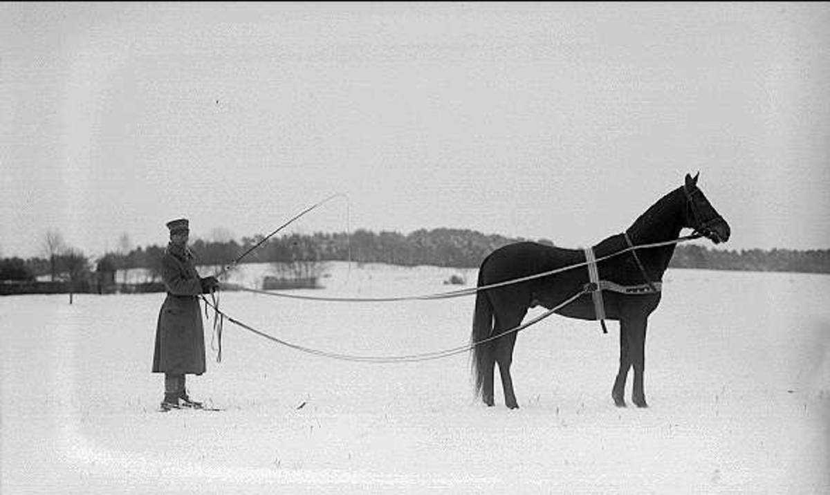 Löjtnant Sven von Essen utövar tolkning på skidor efter egna tjänstehästen/tävlingshästen Flanagan.