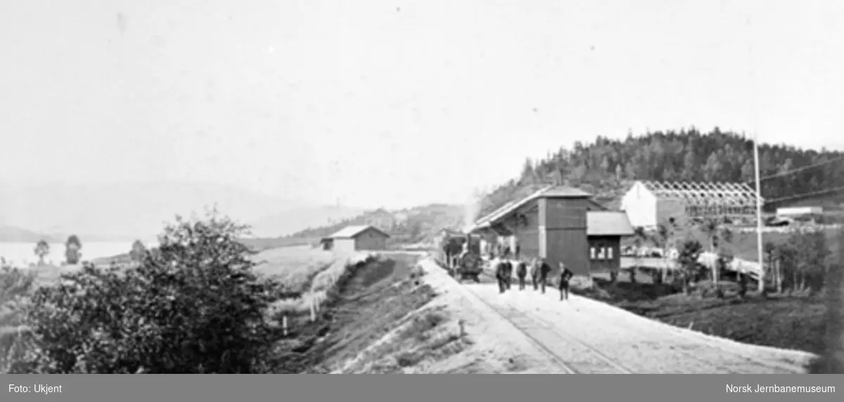 Krøderen stasjon med et damplokomotiv av type III eller IV med persontog på stasjonen