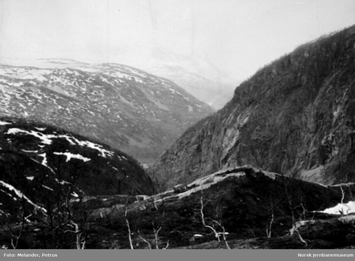 Utsikt fra Norddalen