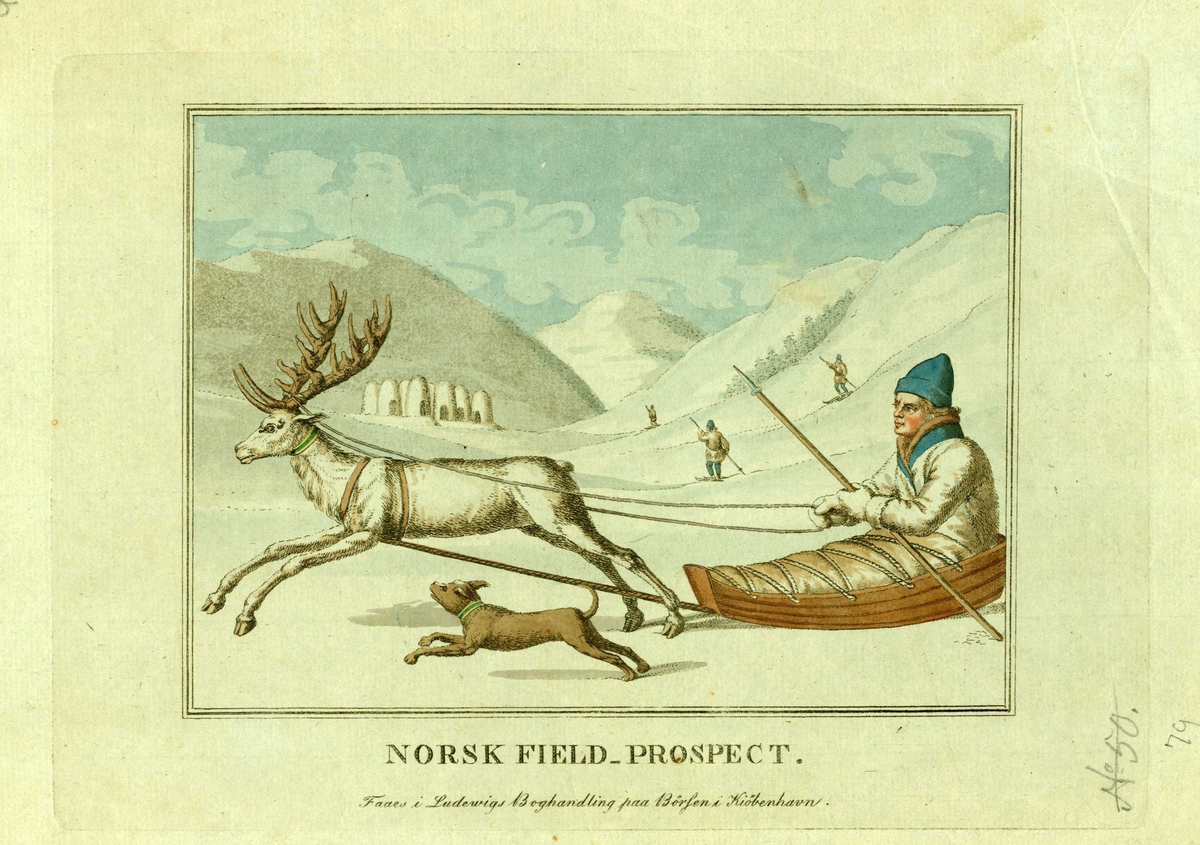 Vintermotiv med mann i samisk drakt som trekkes i pulk av reinsdyr. Samer på ski med èn stav og bebyggelse i bakgrunnen.